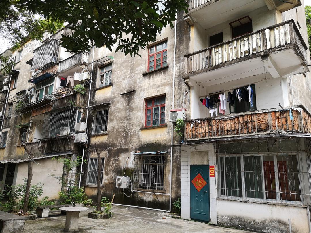 广西大学变化历史,广西大学文科毕业的你后来咋样了