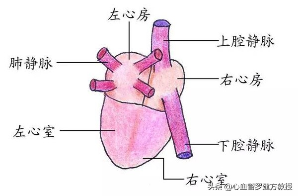 发生心律不齐，怎么样才能恢复正常？#原创首发##青云计划#