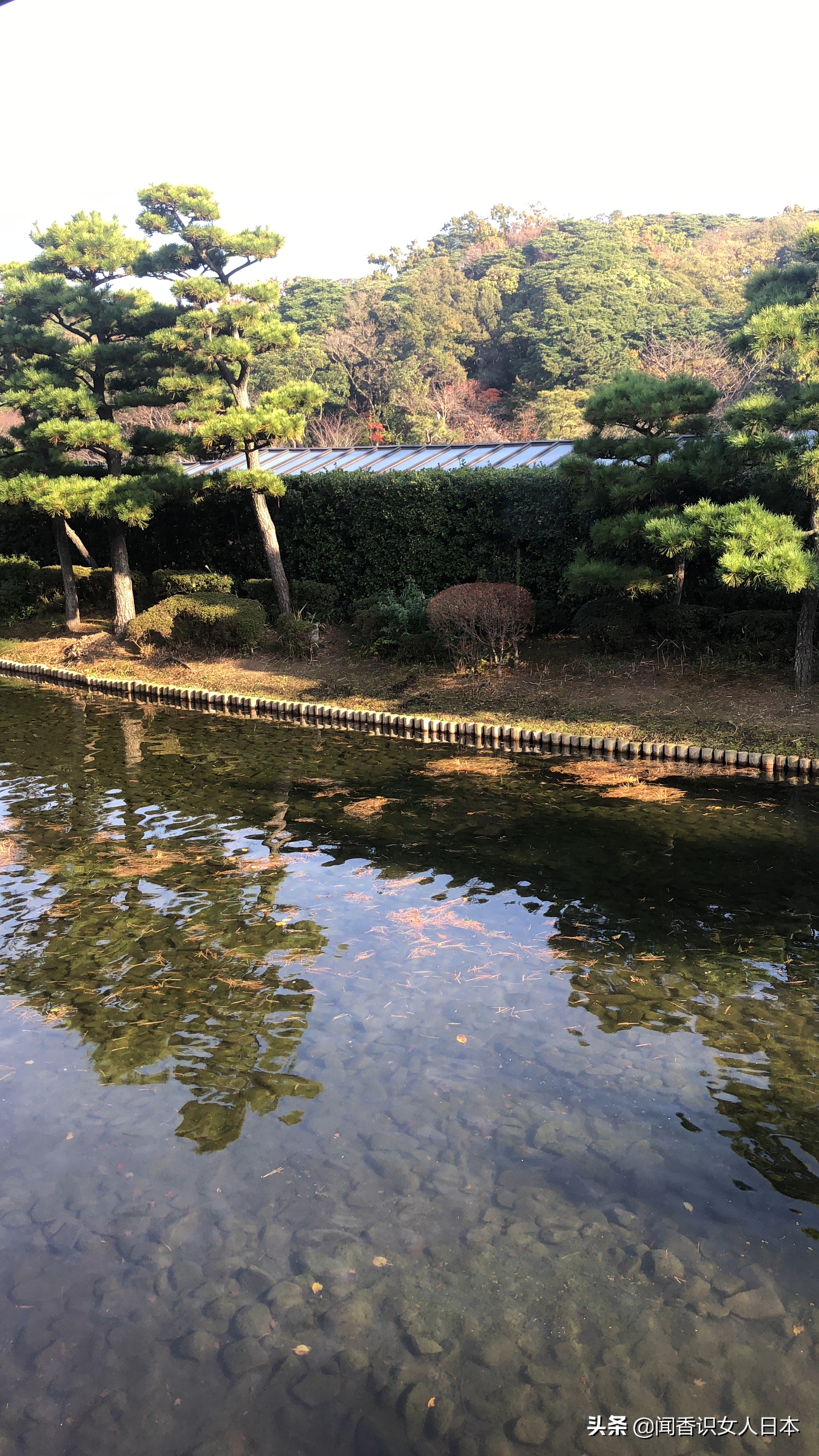 横滨三溪园,横滨三溪园介绍