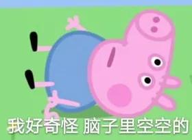 宠物饮水机“漏电”化身杨永信!你还敢让猫咪用它喝水吗?