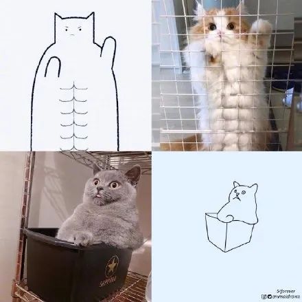 你和大触绘画的区别：一看就会一画就废，这波动物简笔画太形象了
