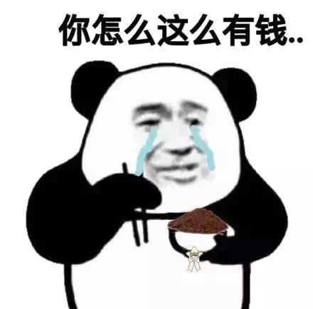 恒大新球场设计被曝,广州恒大球场设计