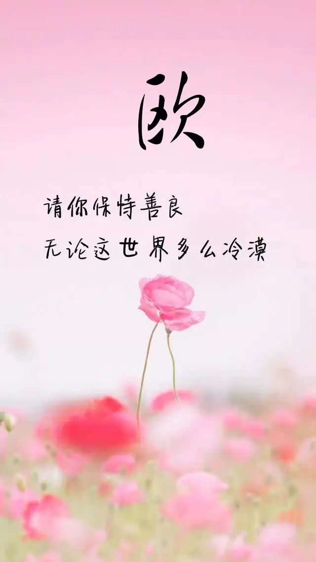 天然翡翠财字,翡翠字体图片欣赏