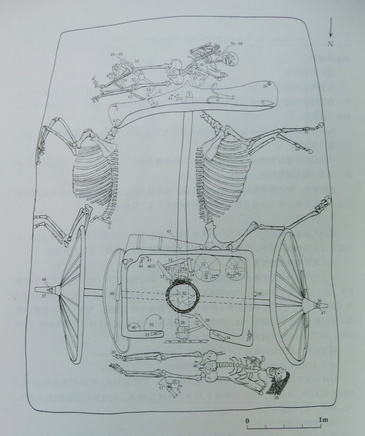 回合的意思,回合是什么意思