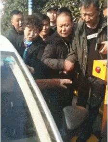 老虎：这是我准备养大吃的，你来凑什么热闹