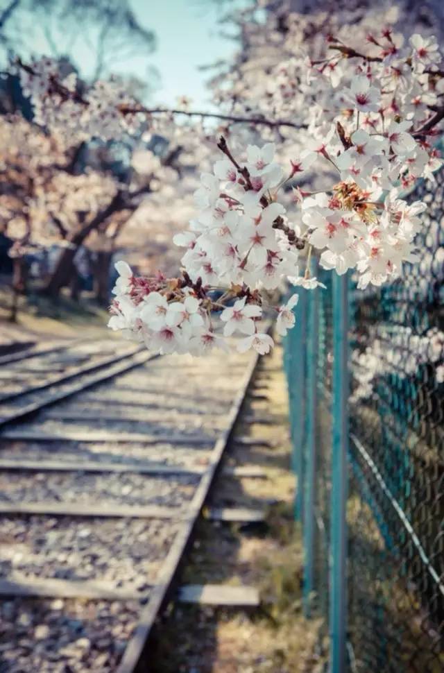 爱旅行的女人经典感言,爱旅行的女性心理