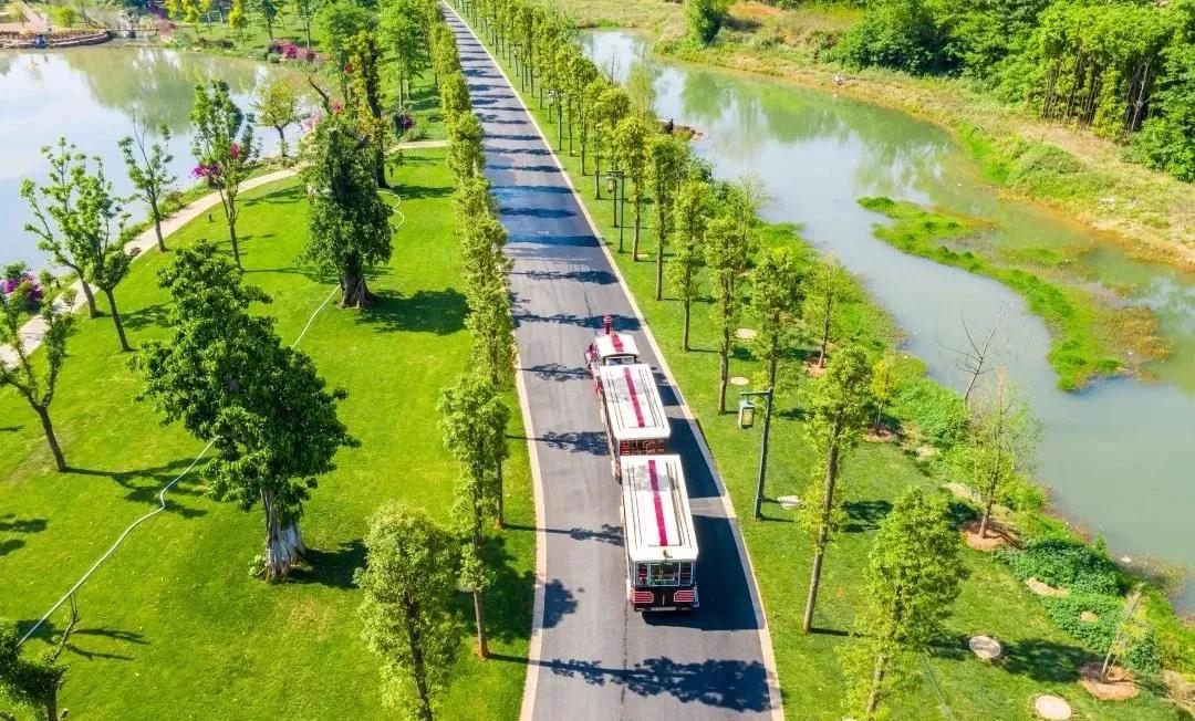 什么是弥勒教,什么是弥勒尊佛