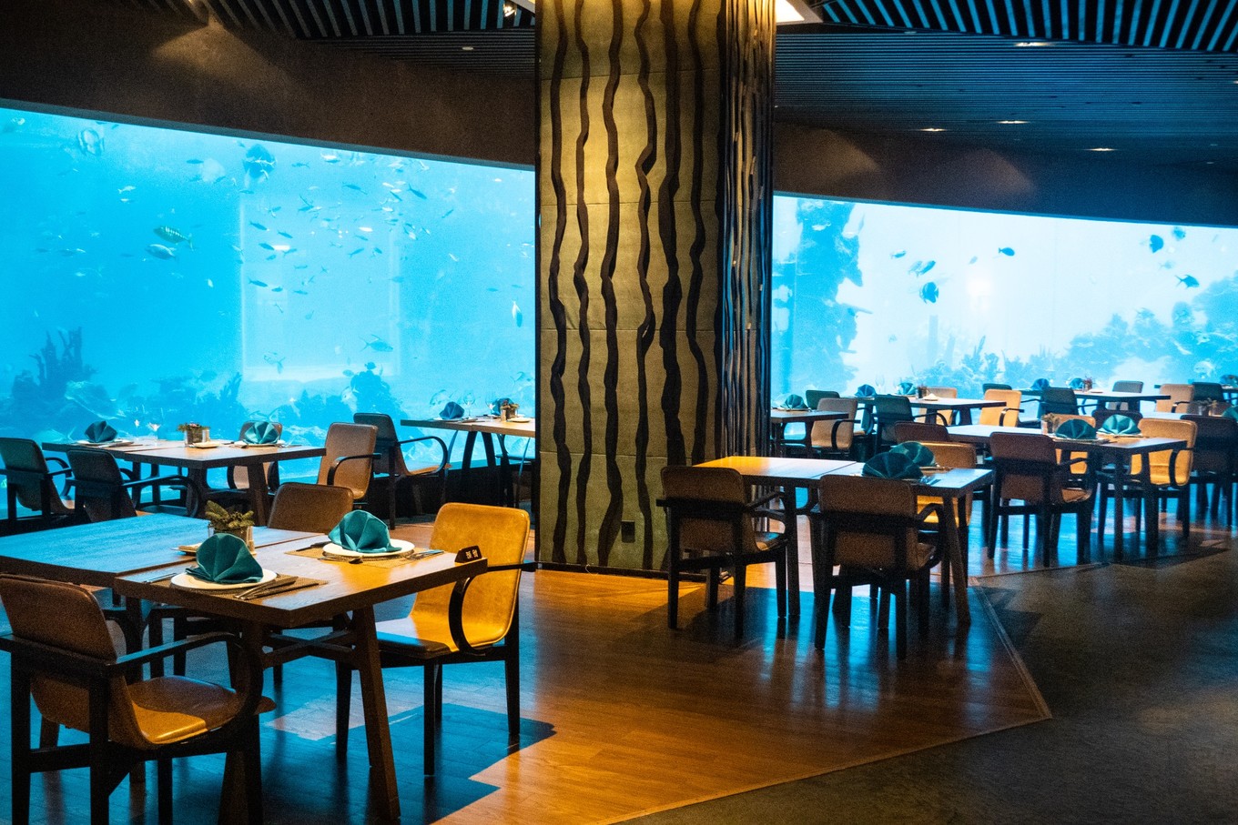 三亚学潜水机构推荐,三亚学潜水哪个最专业