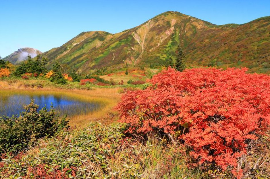 cnn评选出的日本最美的31个景点,cnn评选世界十大旅游地