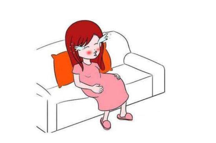 女性排卵当天最佳受孕日,排卵后多久能造人