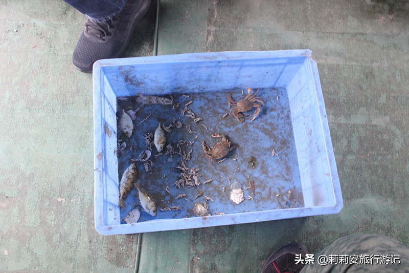 广东旅游海边巽寮湾,巽寮湾捕鱼体验景点