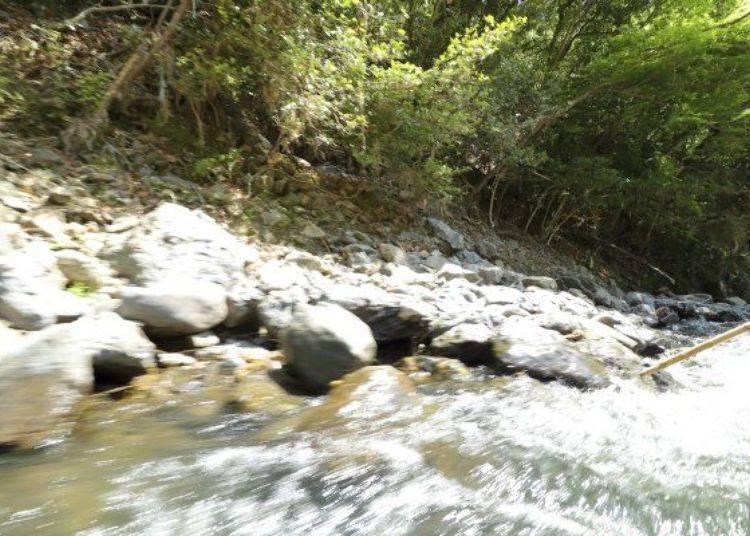 京都保津川,日本京都游船