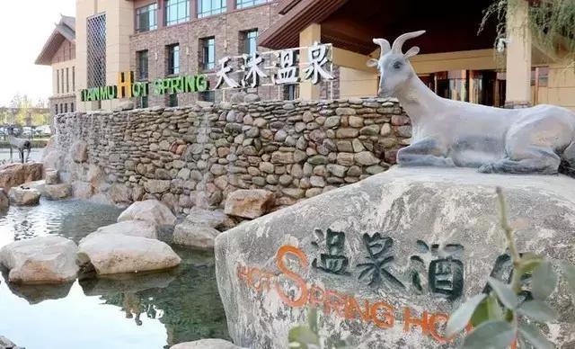 谁说冬天只有严寒,谁说大西北的荒漠寸草不生