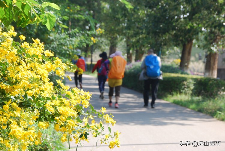 昆明嘉丽泽小镇旅游,昆明嘉丽泽水乡