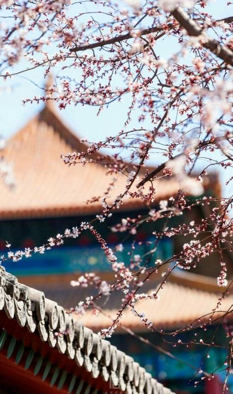 爱旅行的女人经典感言,爱旅行的女性心理