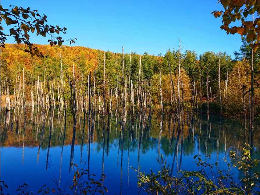 北海道登别到美瑛町需多久,日本北海道美瑛川的雪景