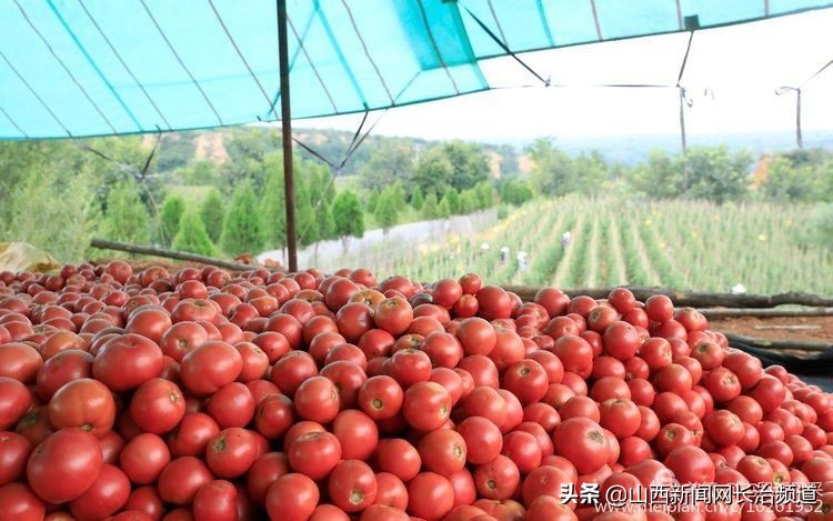 鎴戜滑韬竟鐨勬柊闂绘湁鍝簺,鎴戜滑韬竟鐨勪簩闈掍細灞辫タ