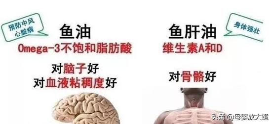 鱼油鱼肝油区别omega3,ad鱼肝油dha鱼肝油区别