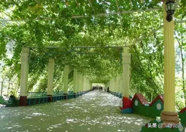 全新疆旅游景点有哪些,新疆带沟的旅游景点