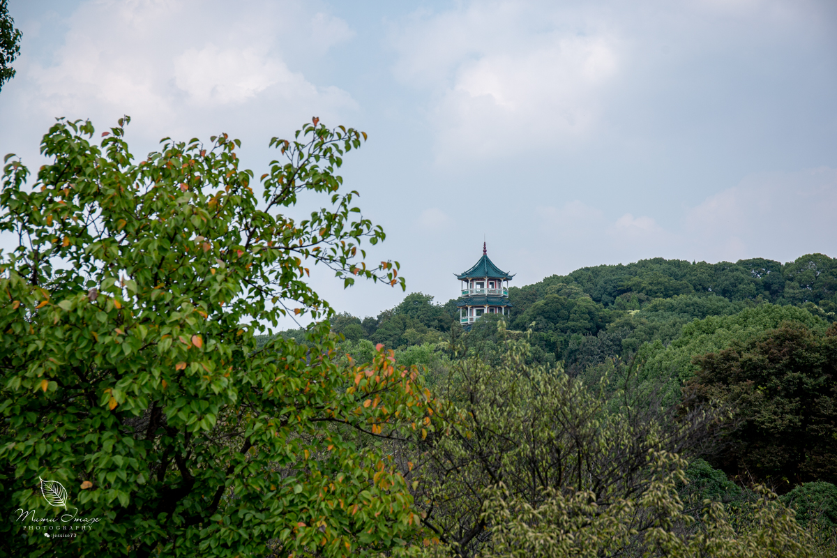 江南百年园林,江南私家园林所蕴含的人文情怀