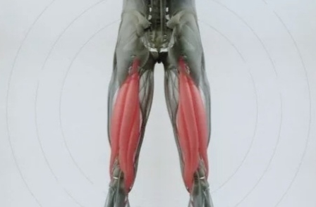 练臀肌没有酸痛感可以天天练吗,我们练臀首先要认识臀部肌肉