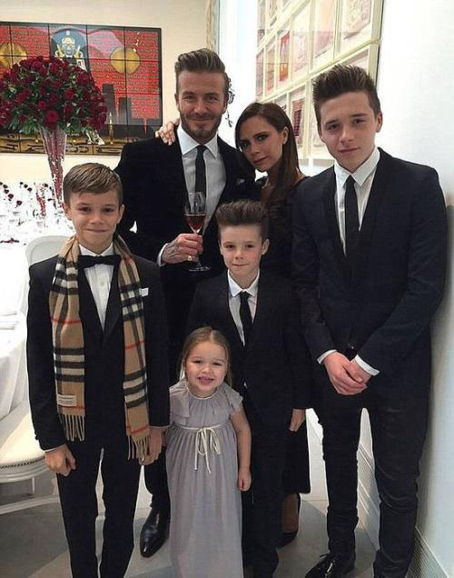 小七哈珀和哥哥罗密欧,小七哈珀看秀