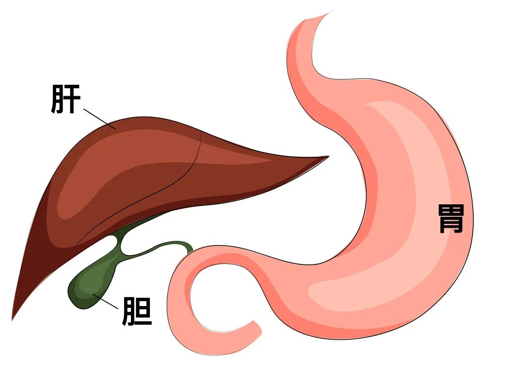 一男子体内取出224多颗胆结石,胆结石取出500个