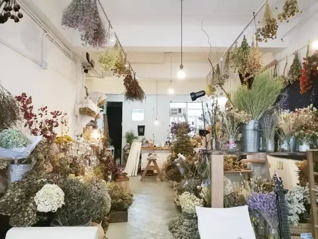 2019年全球必去的52个目的地,2023必去旅游地方排名