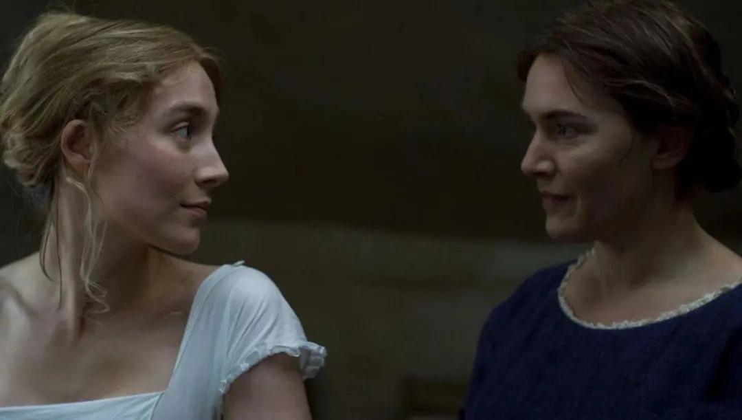 《菊石》的后劲：沉浸体验式的阅片过程，前所未有