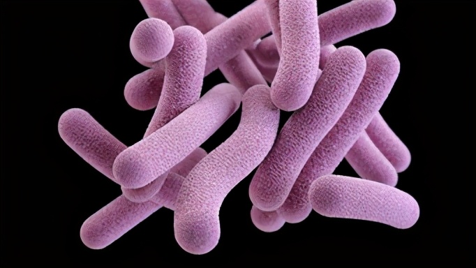 结核性胸膜炎胸痛正常吗,结核性胸膜炎会出现畏寒吗