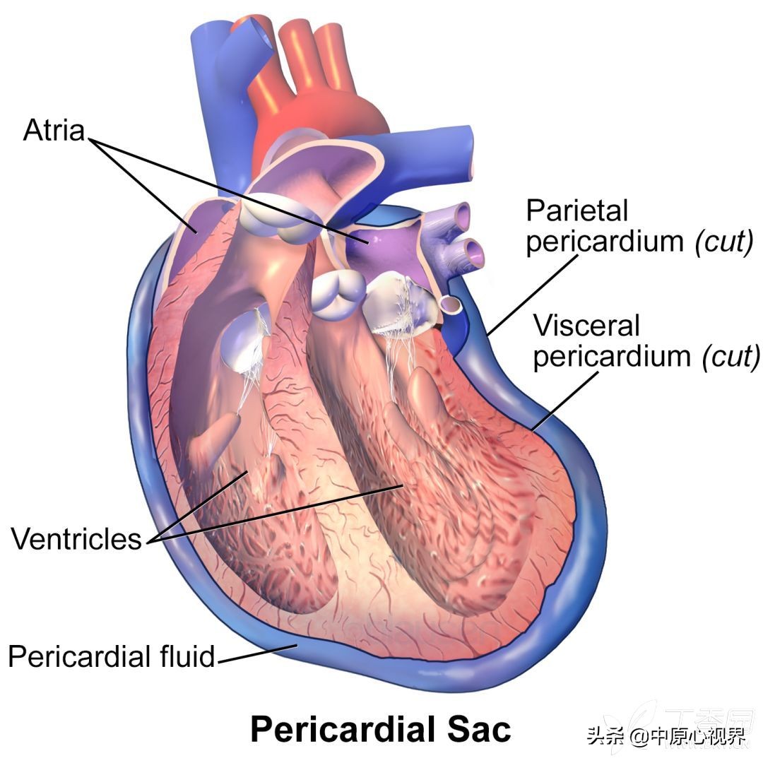 蹇冭剰瑙ｅ墫瀹為獙,蹇冭剰瑙ｅ墫鎵嬫湳