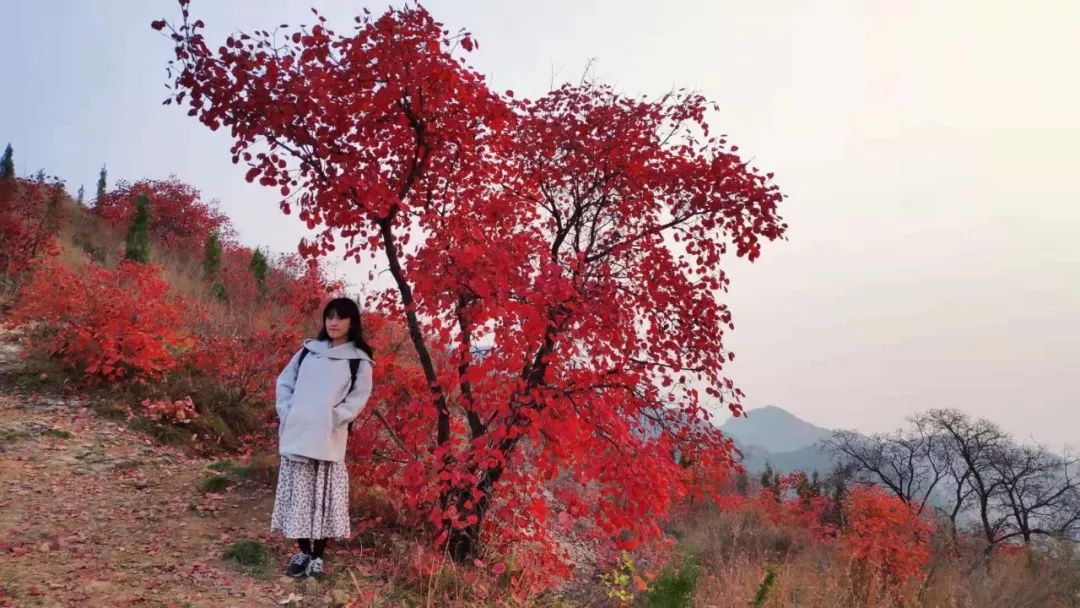 三个月山居生活体验报告——童话里都是骗人的