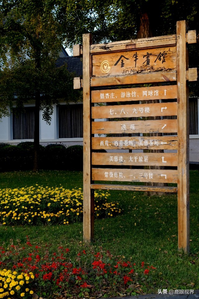 ［鹿眼视界·我的随拍］之346金牛宾馆，牛