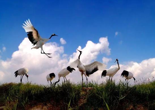 吉林旅游新玩法,吉林冰雪硬核