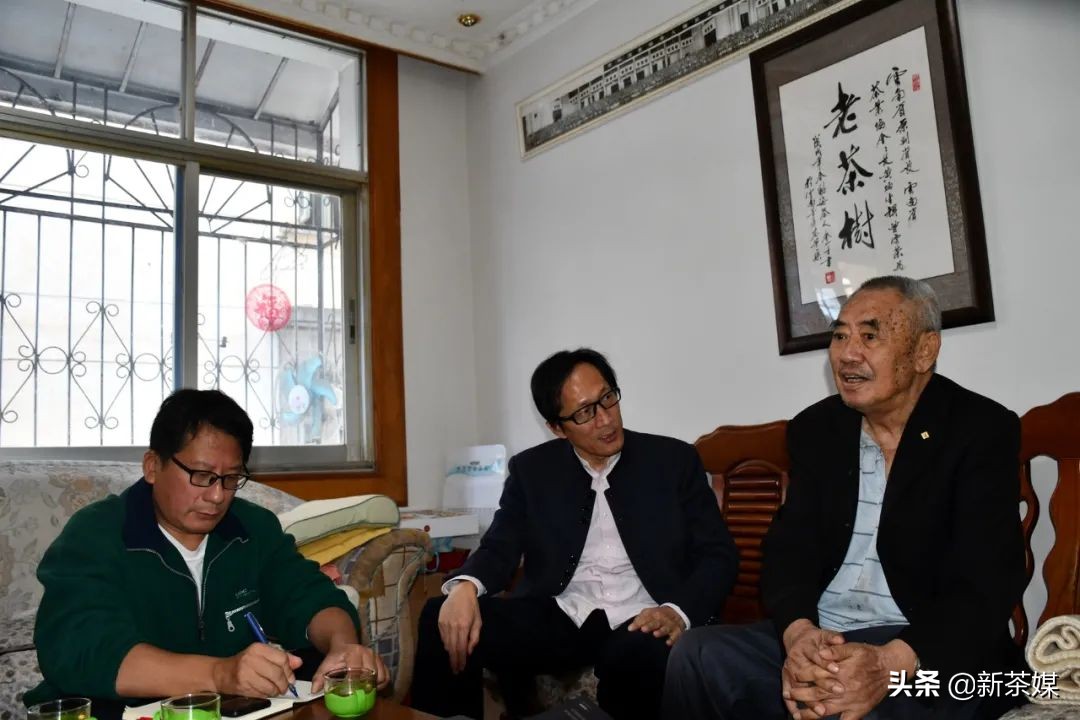 南糯山茶树王咋走,南糯山普洱茶茶树王