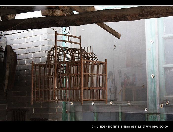 记录农家小院的真实生活,北方农村隐居田园的生活