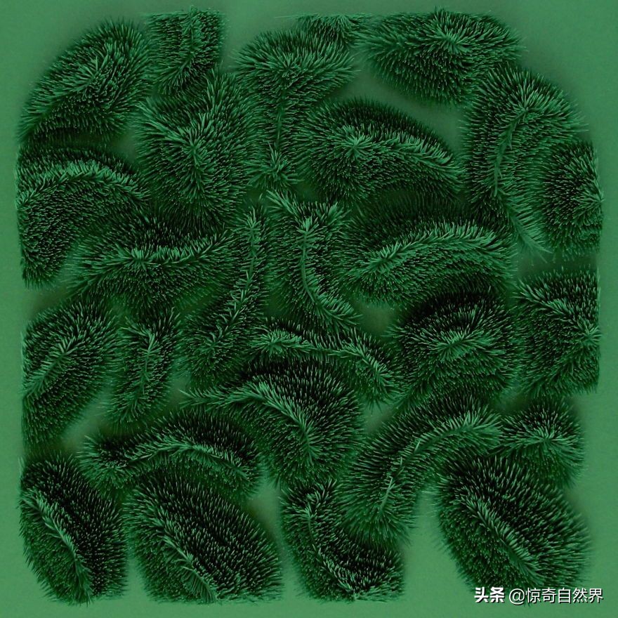 用超长的纸做艺术品超简单,纸制彩色艺术品