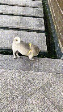 喜欢很久的小哥哥,喜欢了很久的小哥哥