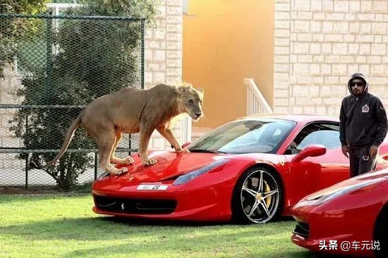 不要钱买法拉利,有钱必买法拉利