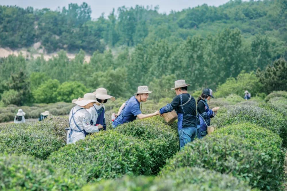 阿朵小镇风光无限,走进阿朵小镇