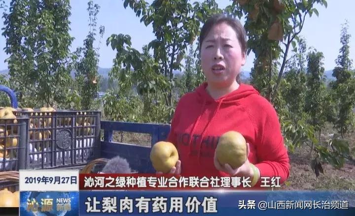 「绿色沁源」交口乡长征村：晚秋黄梨种植开启“黄金之路”