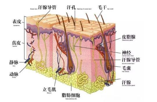 油漆工的苦视频,油漆工的心酸感言