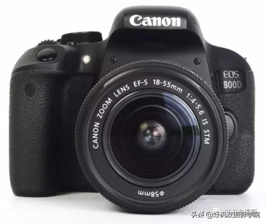 手机拍鸟镜头拍摄技巧,拍摄鸟片后期技巧有哪些