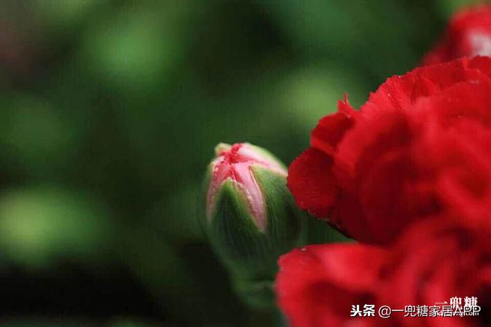 丁克夫妻小户型房子,丁克夫妻房子设计