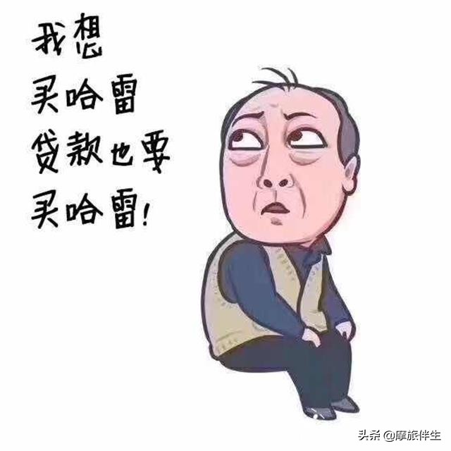 为什么这么多人喜欢快船,为什么这么多人喜欢哈雷883