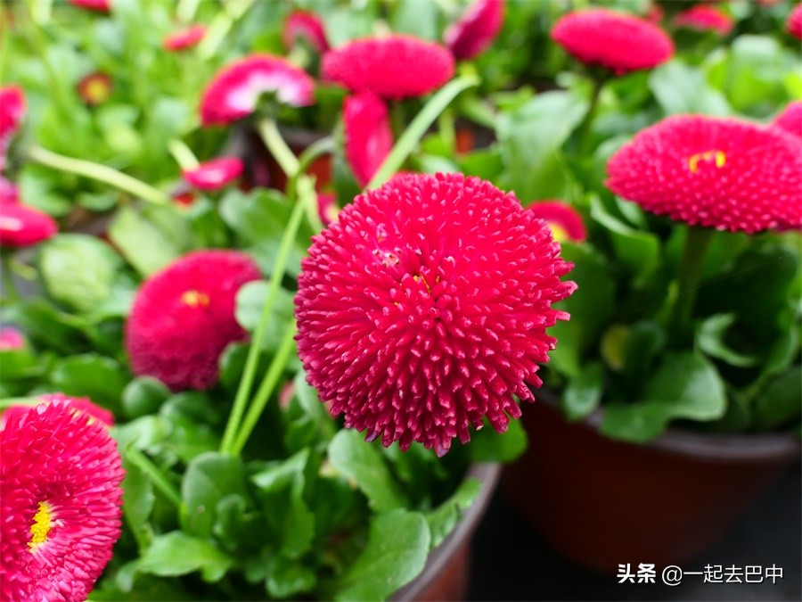 向幸福出发松潘,巴中南江旅游景点