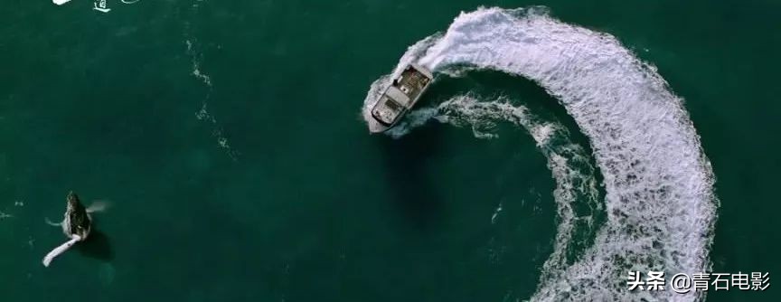 只有芸知道冯小刚演技,只有芸知道冯小刚哭