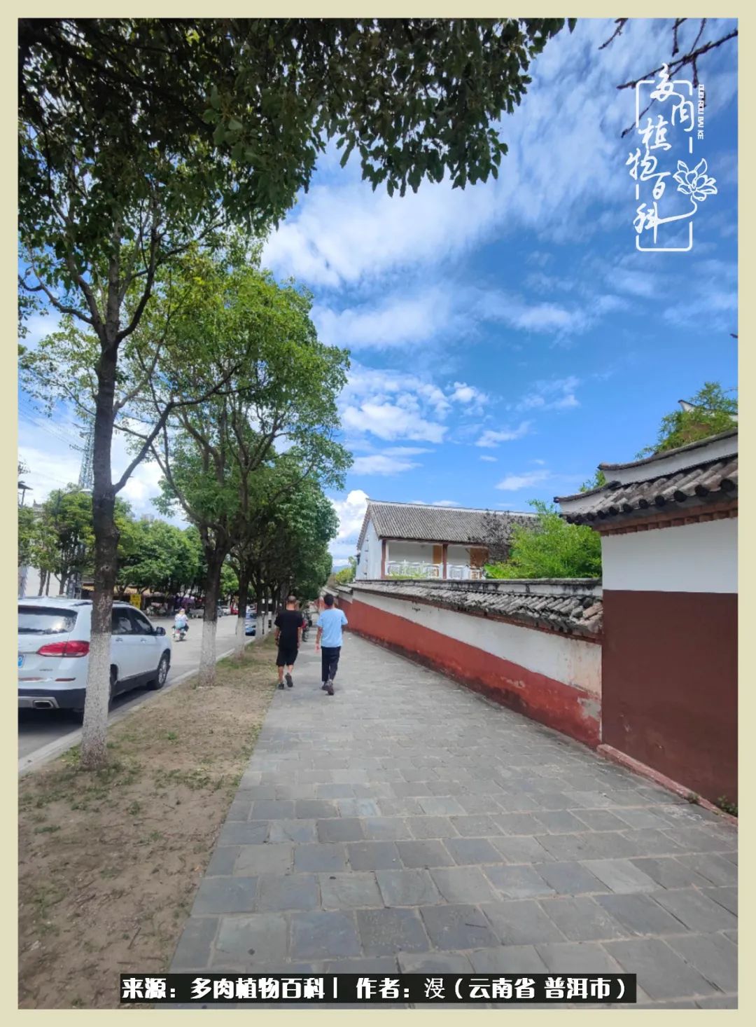 深情不及久伴,厚爱无需多言,择一“爱”,护一生