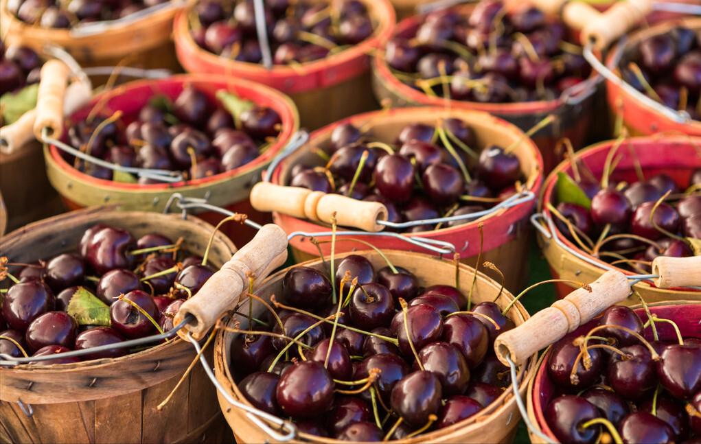 种植樱桃带动群众致富业绩介绍,下岗工人创业2元糖葫芦年赚2千万