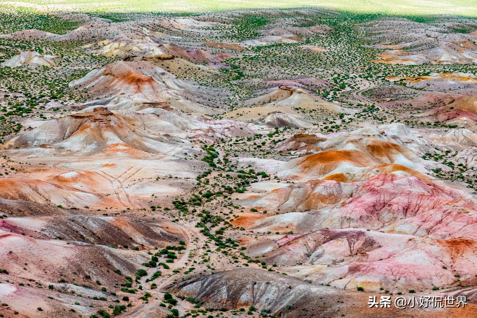 15张令人费解的真实照片,19张不可思议的照片居然没有ps过
